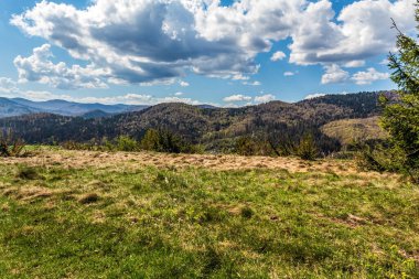 Arka planda bir sürü ot ve orman olan güzel dağ manzarası.