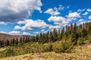 Rusya Cumhuriyeti dağlarında sonbahar geldi.