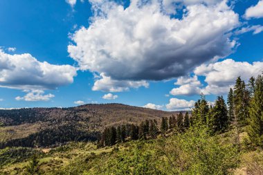 Dağın tepesinden manzara