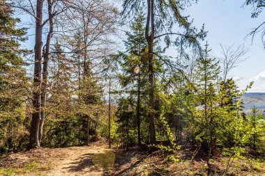 Dağların güzel manzarası
