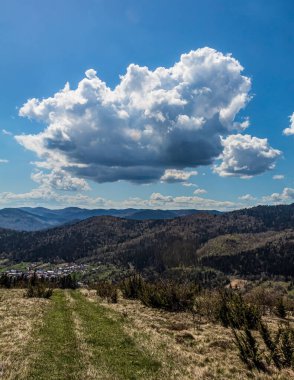 Ormanı ve mavi gökyüzü olan bir dağ manzarası