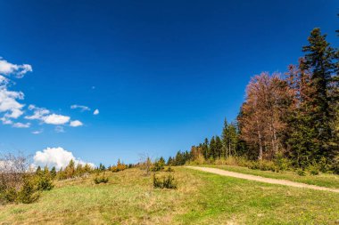 Karpat Dağlarının güzel manzarası