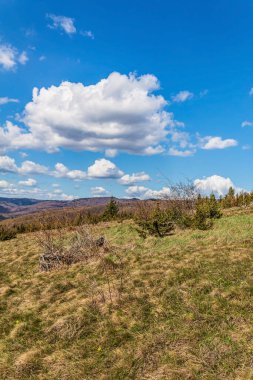 bahar ormanı ve bulutlu mavi gökyüzü
