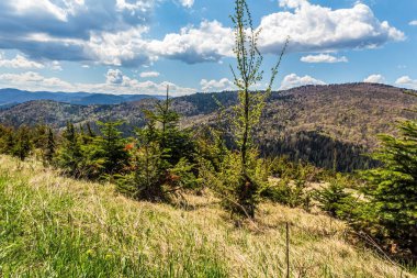 Karpat Dağlarının güzel manzarası