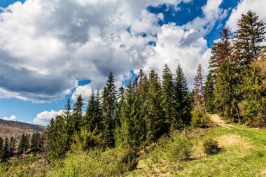 Dağlarda dağları olan güzel bir manzara.