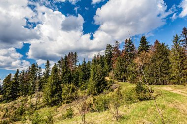yaz gününde güzel dağ manzarası