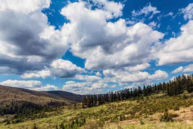 Dağların güzel manzarası