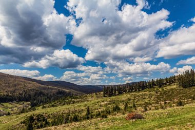Dağ sırası olan güzel bir manzara.
