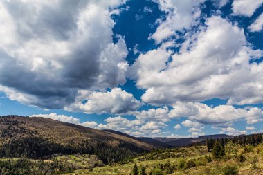 Ukrayna Karpatları 'nda bir dağ sırası.