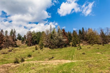 Karpatlar 'da bahar manzarası, Ukrayna