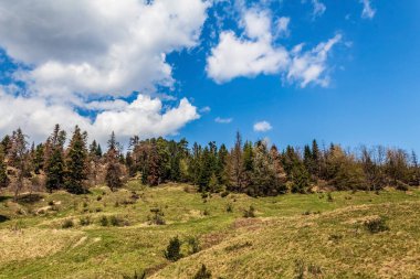 Karpat Dağlarının güzel manzarası