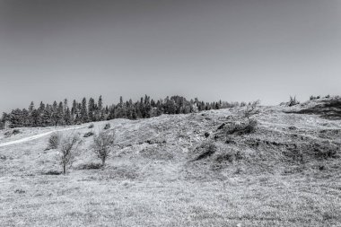 Uzakta ağaçlar ve otlar olan bir dağ yolunun siyah ve beyaz görüntüsü