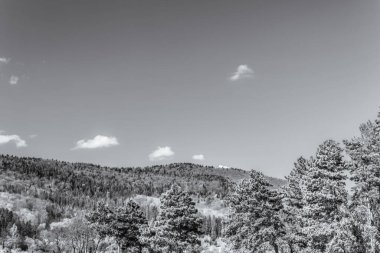 Karla kaplı ağaçlarla kaplı güzel kış manzarası