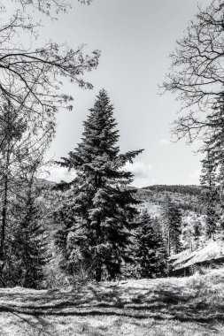 Dağların güzel manzarası