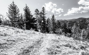 Güzel manzara siyah beyaz