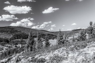 Güzel manzara siyah beyaz