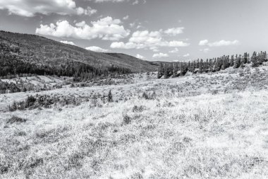 siyah ve beyaz manzara.