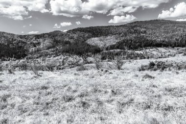 Karpatlar 'daki dağ sırası..