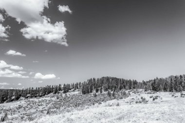 Altai dağlarının güzel doğası