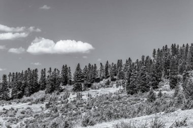 Arkasında dağlar ve ormanlar olan siyah ve beyaz bir manzara.