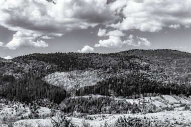 Ormandaki dağların güzel manzarası