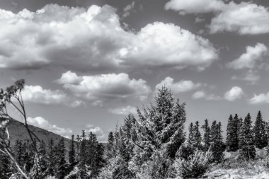 Dağ manzarasının siyah beyaz fotoğrafı