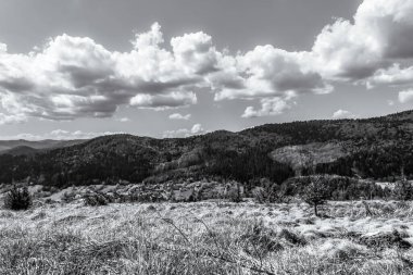 Gökyüzündeki siyah ve beyaz bulutların dikey görüntüsü