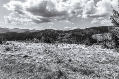 Doğanın güzel manzarası