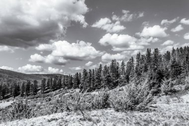 Dağları ve mavi gökyüzü olan güzel bir manzara.