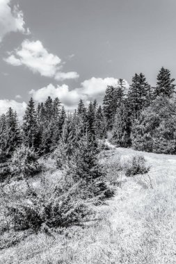 Dağların güzel manzarası