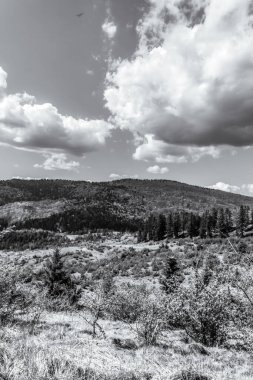 Romanya 'nın Karpat Dağları' ndaki güzel bir dağ manzarası