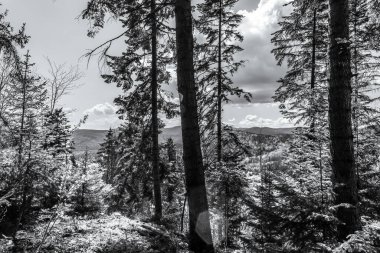 bir dağ manzarasının siyah beyaz resmi. Karpatya Dağı