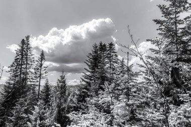 Dağların siyah beyaz fotoğrafı