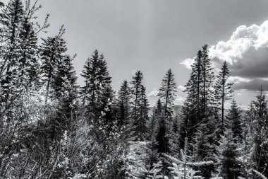 Dağların tepesinde siyah beyaz bulutlar.