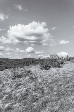 Karpat Dağları 'nın dağlarındaki güzel bir manzaranın siyah beyaz fotoğrafı. ukraine.