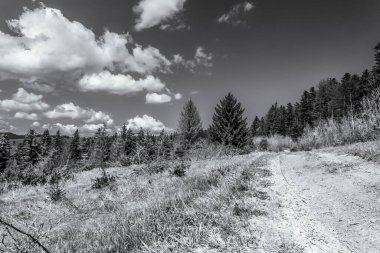 Dağların güzel manzarası