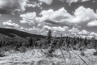 Dağların güzel manzarası