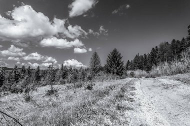 Yazın dağlarda toprak yol