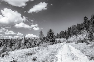 Dağlarda dağ yolu olan güzel bir manzara.