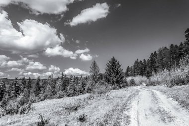 Dağların güzel manzarası