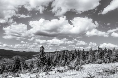 Dağların güzel manzarası