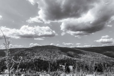 Karpat Dağları 'ndaki güzel manzara