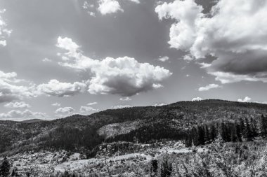 Ağaçlarla ve mavi gökyüzüyle güzel bir manzara.