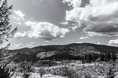 Dağları ve ormanı olan güzel bir manzara.