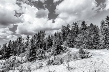 Dağ sırası olan güzel bir manzara.