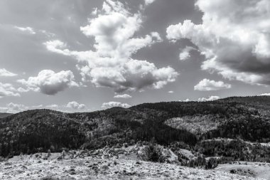 Güzel bir manzaranın siyah beyaz fotoğrafı