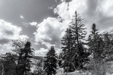 Kışın dağlarda. Siyah ve beyaz.