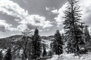 İsviçre 'de bulutlu bir gün geçiren bir dağın gri tonlu görüntüsü.