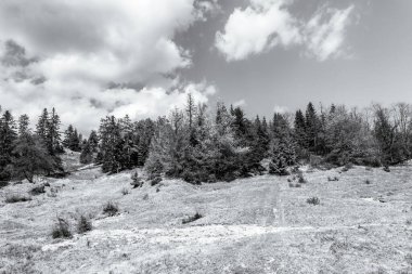 Slovakya 'daki bir dağın tepesinden çekilen siyah beyaz fotoğraf