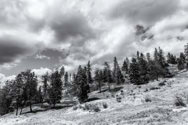 Dağ sırası olan güzel bir manzara.